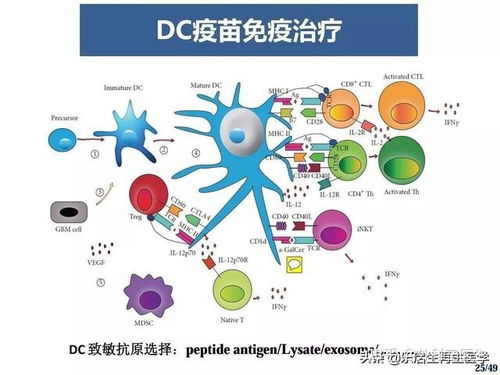 癌細胞第一次徹底全面曝露 細胞技術研發與應用開啟新紀元